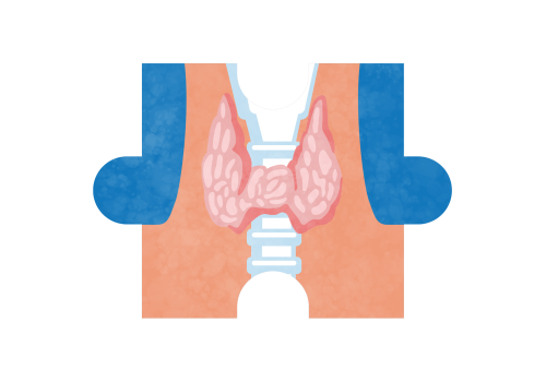 thyroid