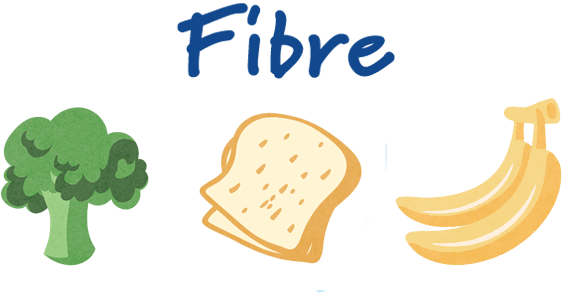 Fibre