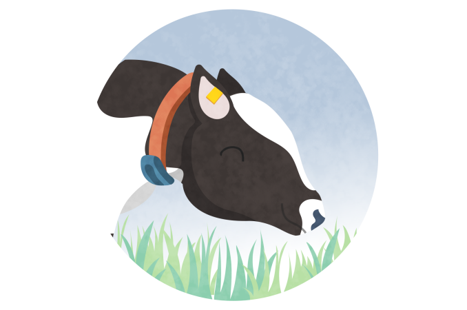 Cow Icon