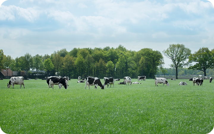 farm environment